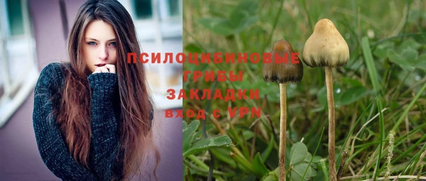 альфа пвп Белокуриха
