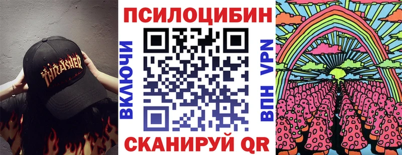 Псилоцибиновые грибы Psilocybe  Волоколамск 